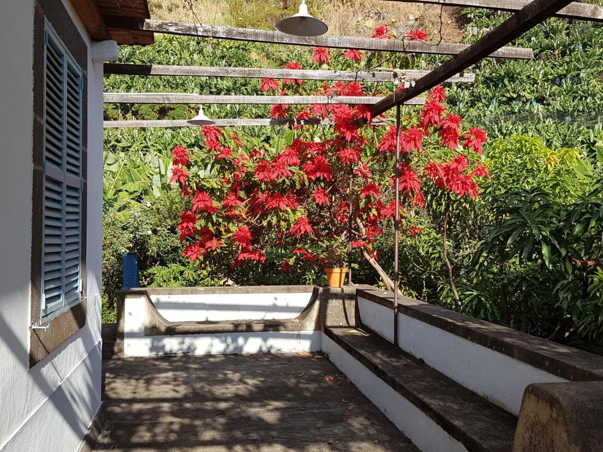 Вілла Casa Da Madalena Do Mar Екстер'єр фото